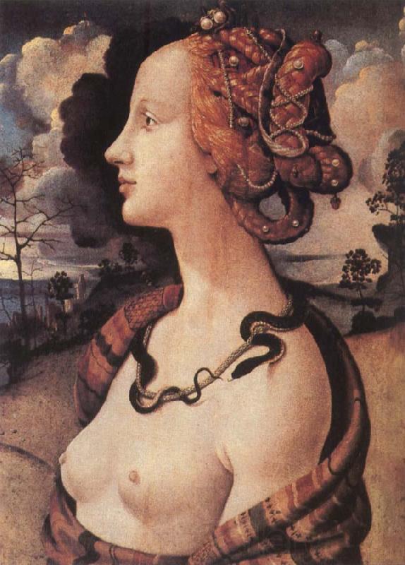 Piero di Cosimo Portrait of Simonetta vespucci Norge oil painting art